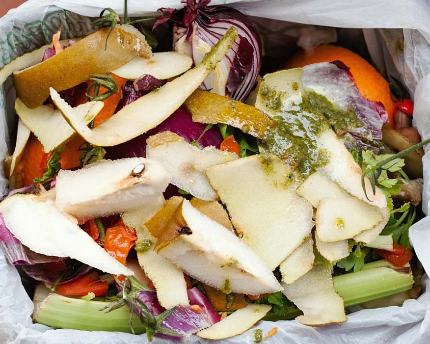 Food waste: network seeks to reduce bills (credit: Antonio Gravante/123RF)