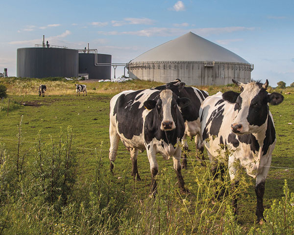 The Agrogen plant in Staffordshire won the “best UK on-farm AD plant” award last year. Photo: BioG UK
