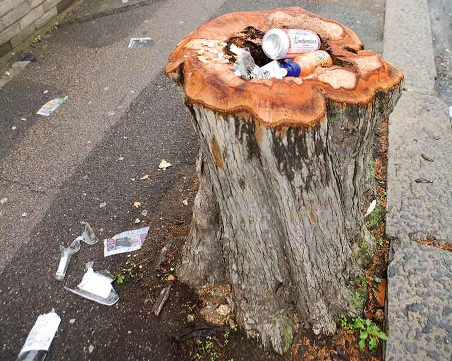 The litter problem requires a national action plan (credit: CPRE)