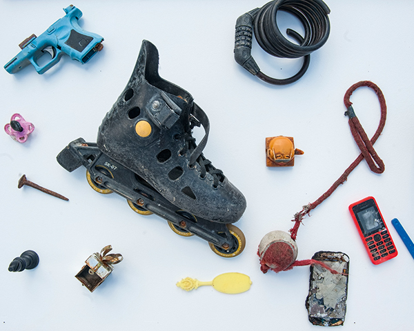 Some of items from the Cabinet of Curiosities. Photograph Lucy Young