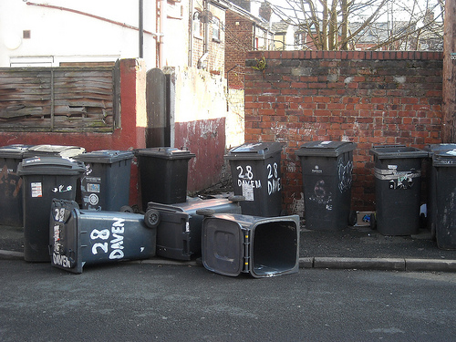 Bins: the government is looking for new homes to "design out" bin blight (Picture by Gene Hunt)
