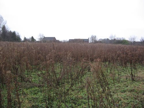 100-080-819 (Image Credit: Mosaic Town Planning)