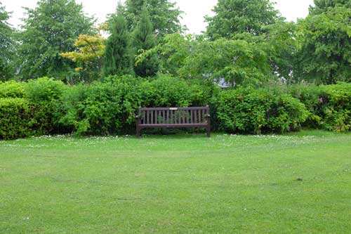 Assessment of green infrastructure and economic growth released