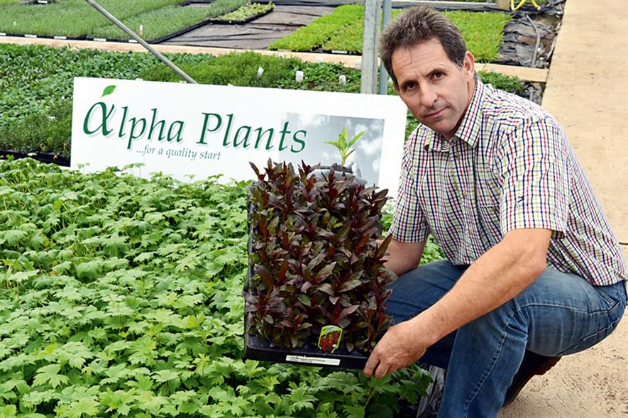 Alpha Plants owner Mike Roberts (HW)