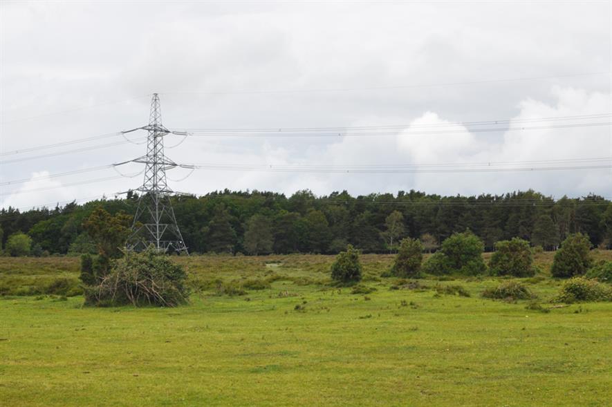 New Forest National Park: one of the sites on National Grid shortlist - image: National Grid