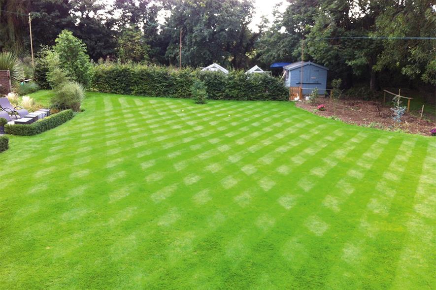 Hedges-Gower’s lawn: fed twice in the past year - image: HW