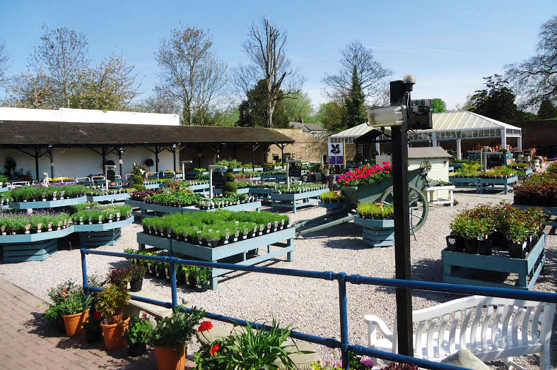 Morden Hall plants 100 per cent peatfree Horticulture Week