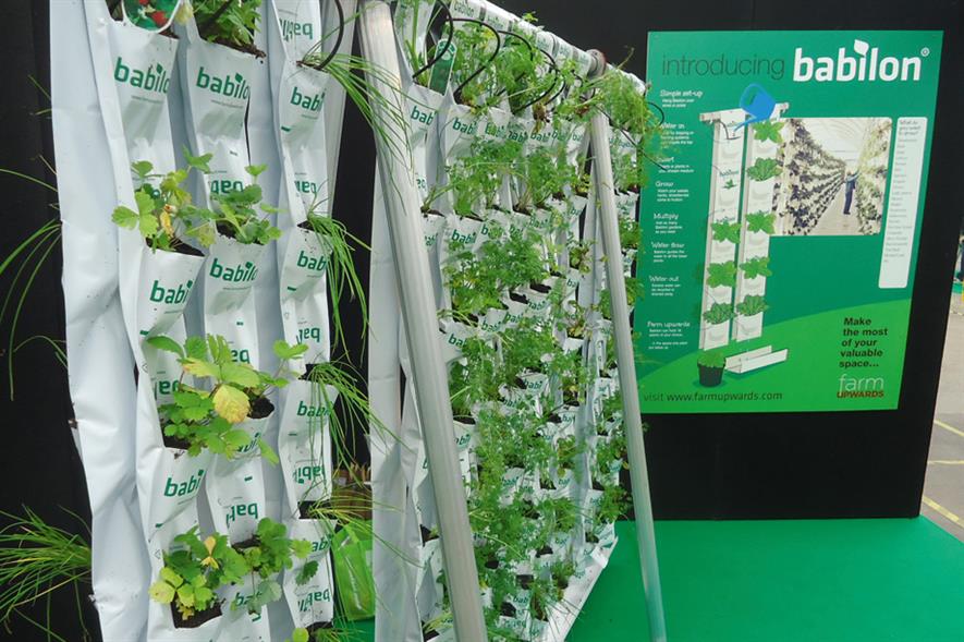 Babilon: vertical farming option