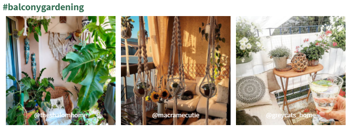 Top 10 Emerging Gardening Trends In 2021 Identified Horticulture Week