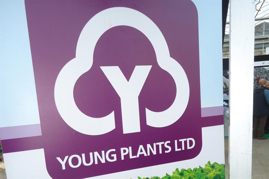 Young Plants: Newey business