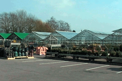 Park Place Farm Nursery, hit by thieves - image: PPFN