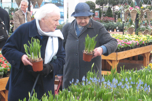 Garden retail sales outpaced the high street in November - image: HW