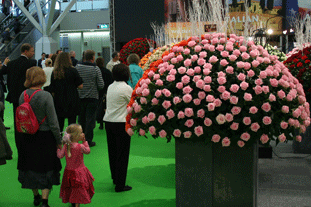 Horti Fair. Image: HW