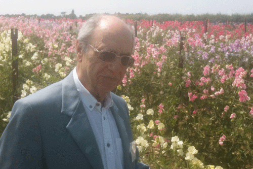 Our houseplants image