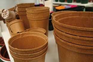 Pots and containers- image: HW