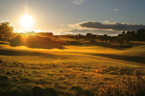 Fungicide use is seen as a last resort but is a vital tool in keeping fairways weed-free - image: Carnoustie Golf Links