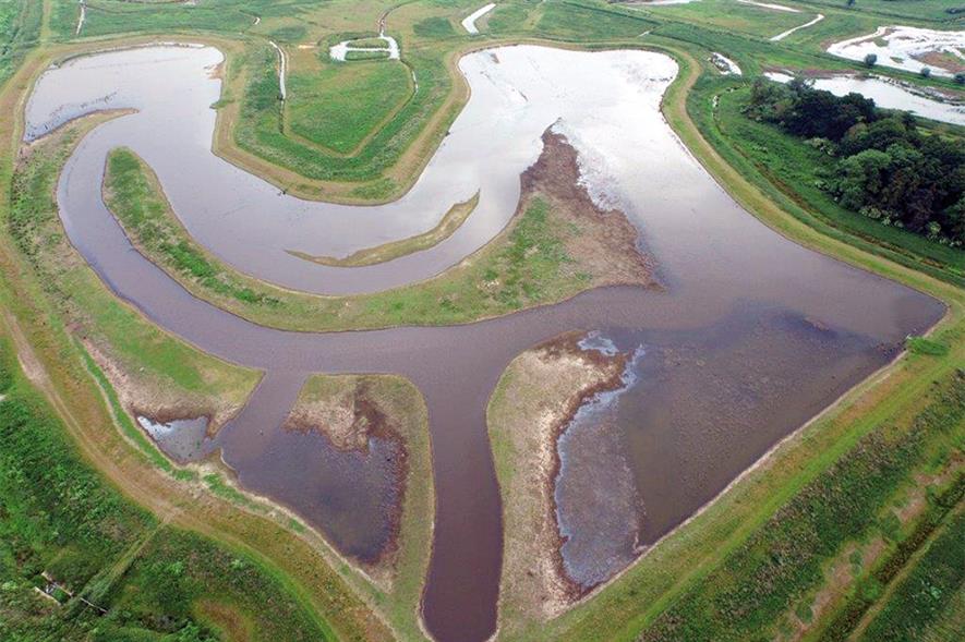 Broads: nursery’s plug plants help to restore wetlands - image: HEXCAM
