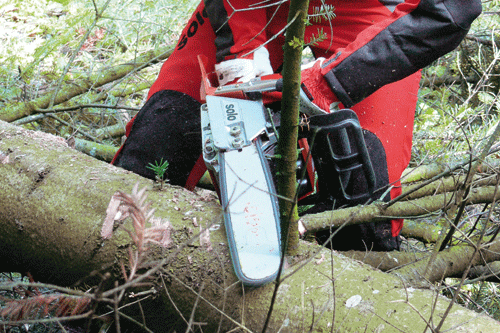 The Solo 651SP has an ergonomic design - image: Lely (UK)