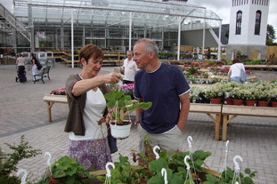 Garden centres: the latest Garden Centre Association figures show double-digit rises in sales. Image: HW