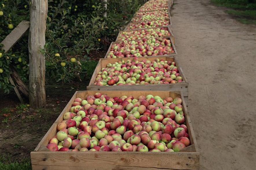 Poland: largest EU apple grower