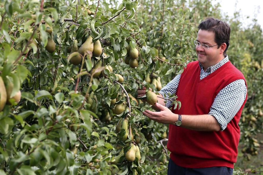 Pears: Waitrose sales increase