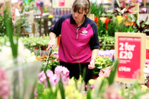 Staff are core to adding value - image: Dobbies