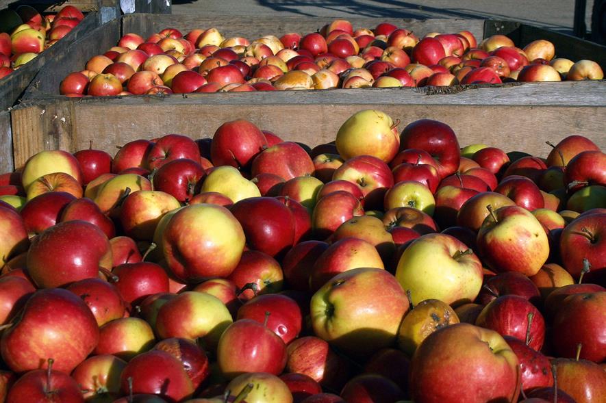 Apple crates at Moor Organics