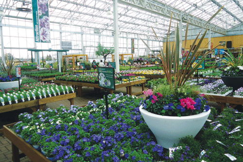 Open Skies: innovative covered planteria considered a godsend because customers are no longer put off by the rain