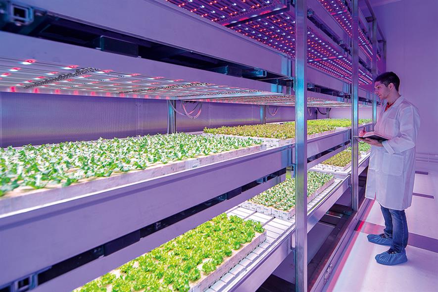 LEDs feature in hi-tech research facility | Horticulture Week