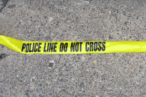 Two safes stolen at Greetham Garden Centre - image: Morguefile