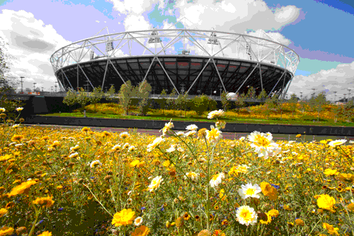 A depressed landscape market is hoping for confidence boost from the 2012 Olympics - image: ODA