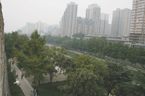An environmental crisis precipitated China's action on urban greening - image: Mark Long