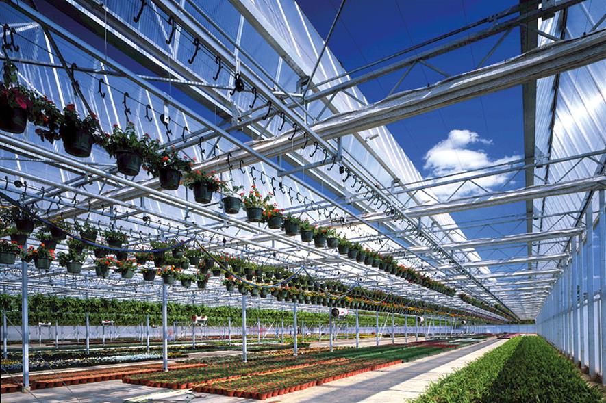 Glasshouse structures HortWeek