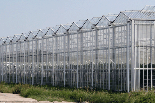 Glasshouse: scheme approved