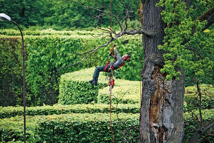 Tree work: Echo has set out to create lightweight chainsaws to limit operator fatigue