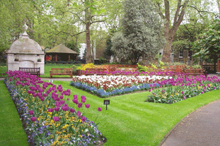Paddington Street Gardens: Green Flag Award winner in London Borough of Westminster. Image: LBW