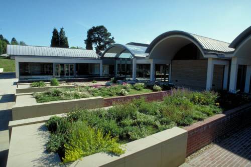 Seed Swap To Encourage Heritage Vegetable Varieties Horticulture