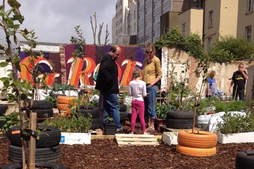 Moveable Feast: temporary allotment set up on derelict housing site