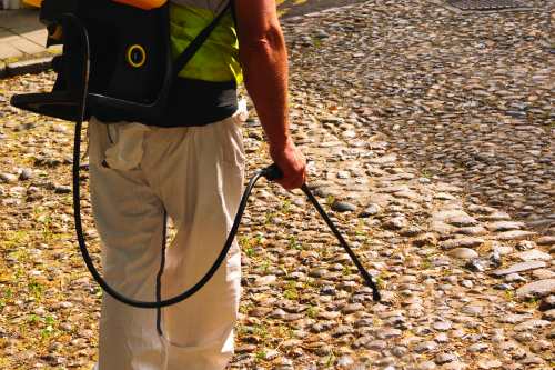 Many local authorities are scaling back weed control and emphasising price in contracts - image: Alamy
