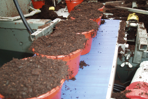 The Growing media task force report and road map for action on reducing peat use have been welcomed across horticulture industry - image: Everris