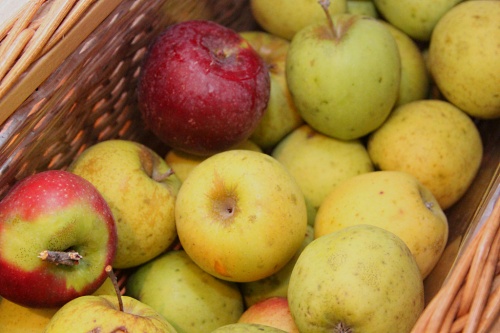 imperfect apples - image: Keith McDuffee