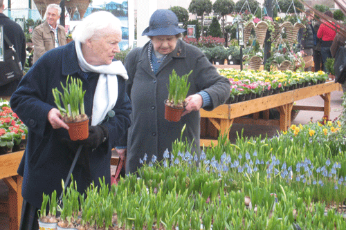 Mild weather is helping garden retail sales - image: HW