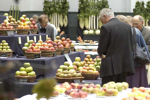 RHS show at Westminster Halls - image: RHS