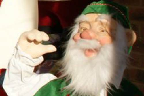 Thieves were caught on CCTV making off with the charity elf - image: Woodcote Garden Centre
