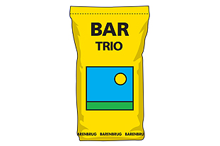 Bar Trio Image: Barenbrug