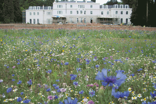Gateway House, Purfleet, Essex - image: BALI