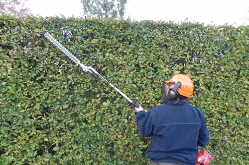 handheld hedge cutter