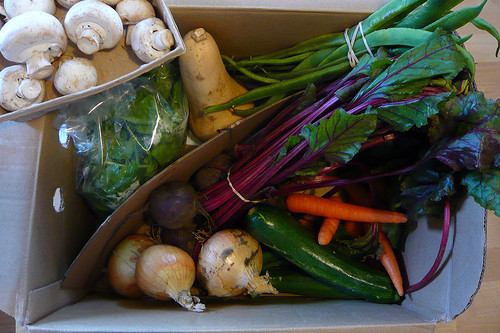 An Abel & Cole vegetable box - image: Jessica Spengler