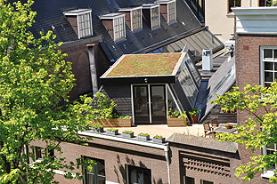 Space is at a premium in Amsterdam and green roofs are increasingly popular - image: Urban Green