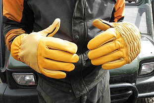 Rostaing Woodcutter's Gloves - image: HW